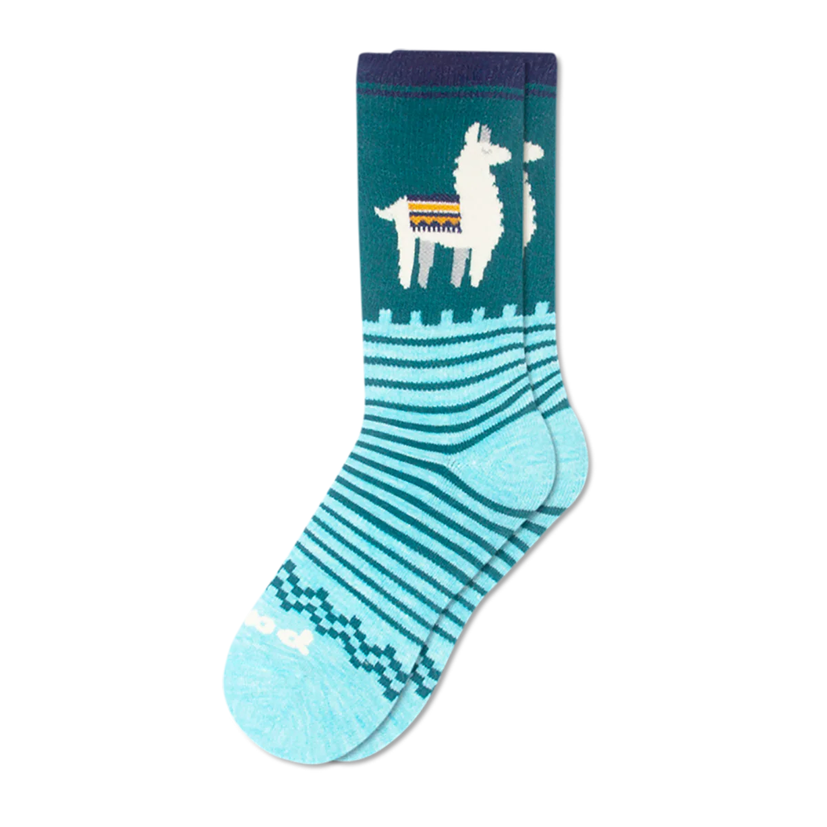 Women's Crew Pacas Socks Fall 22 - Image 29